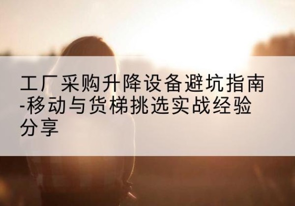 成安移动式升降机怎么选-工厂采购升降设备避坑指南-移动与货梯挑选实战经验分享