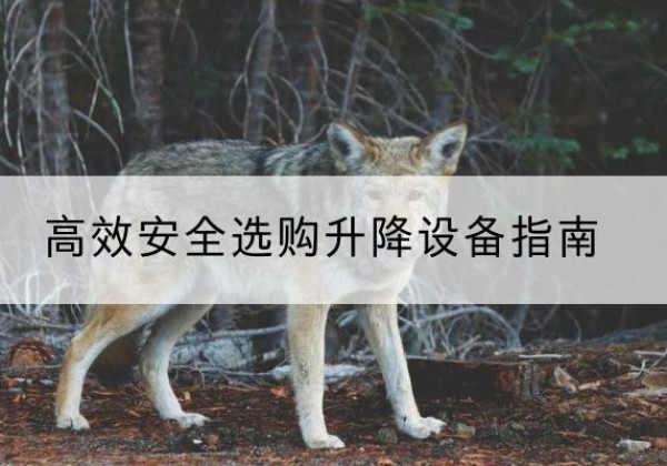 成安升降货梯厂家推荐-*安全选购升降设备指南