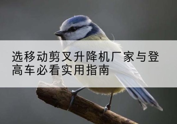 成安电动升降机厂家-选移动剪叉升降机厂家与登高车必看实用指南