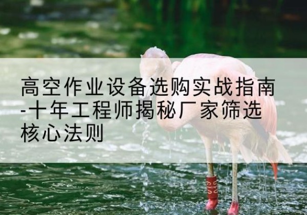 成安剪叉式升降机厂家-高空作业设备选购实战指南-十年工程师揭秘厂家筛选核心法则