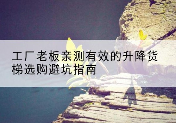 成安升降货梯怎么选-工厂老板亲测有效的升降货梯选购避坑指南